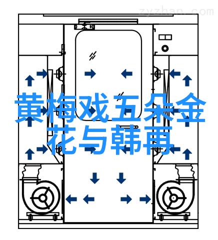 黄梅戏演员王懿佳介绍